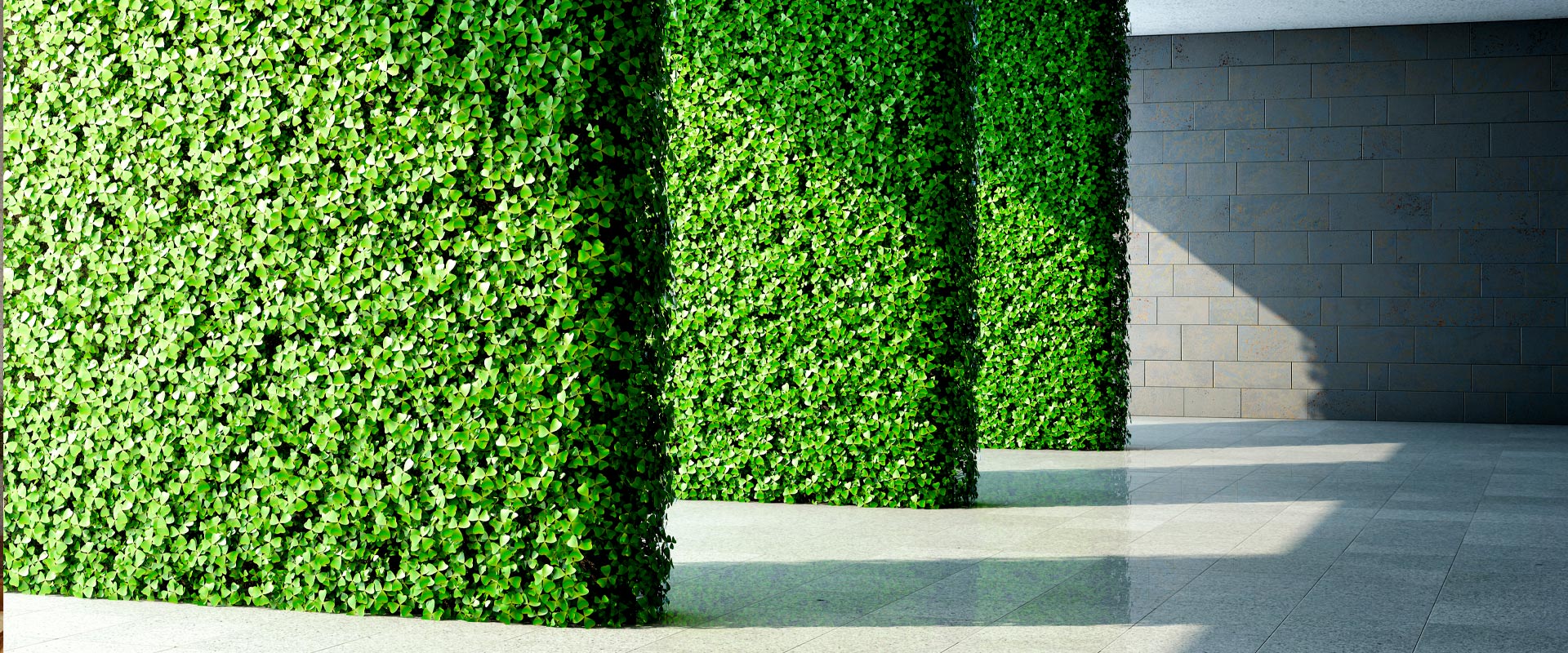 mur végétal extérieur Marrakech Stean Art Floral