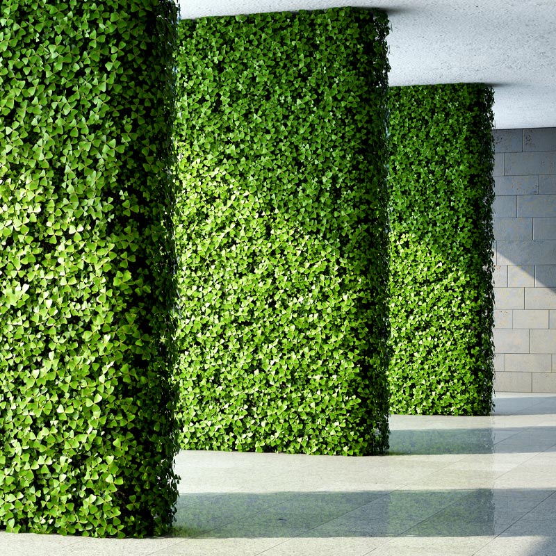 mur végétal extérieur Marrakech
Stean Art Floral