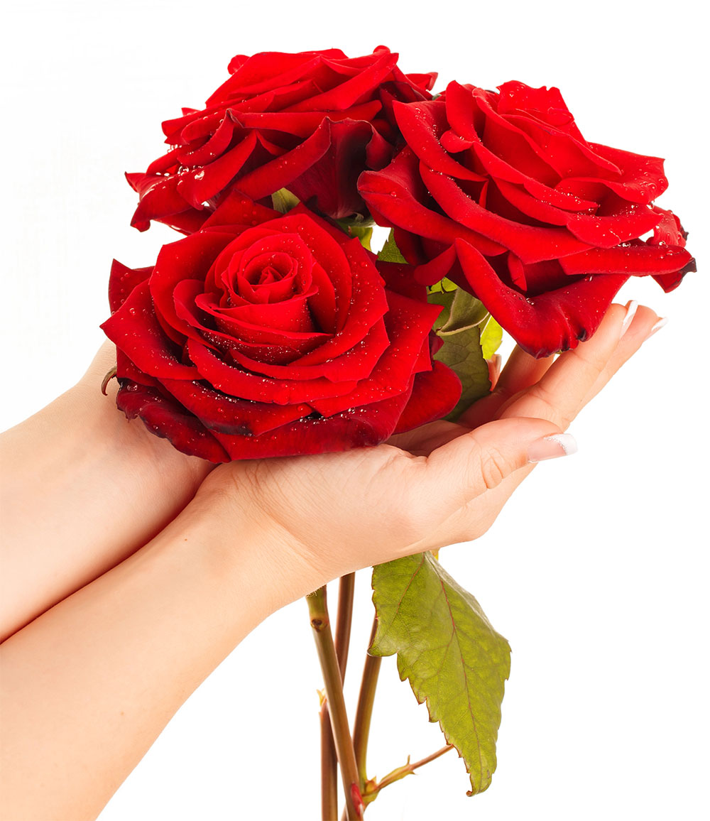 Stean Art Floral Marrakech Composition Florale